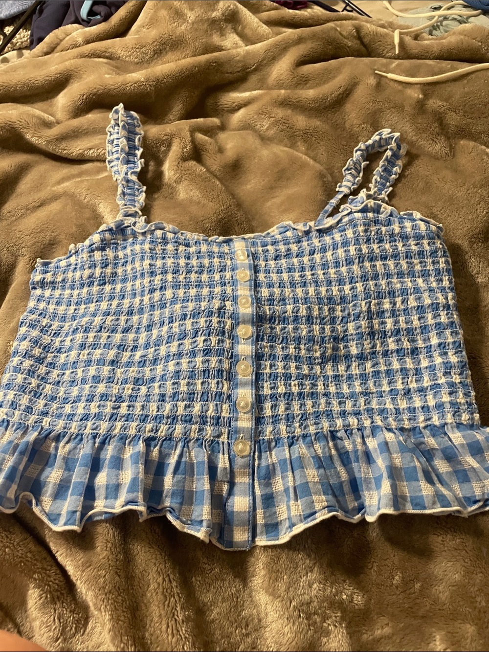 American Eagle Outfitters Blue and White Gingham Smocked Crop Top
